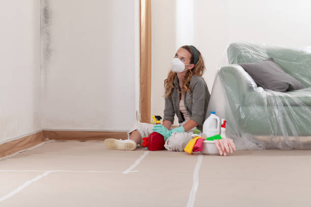 Reliable Commercial Mold Remediation contractor in Knoxville, IL by WQB Mold Removal